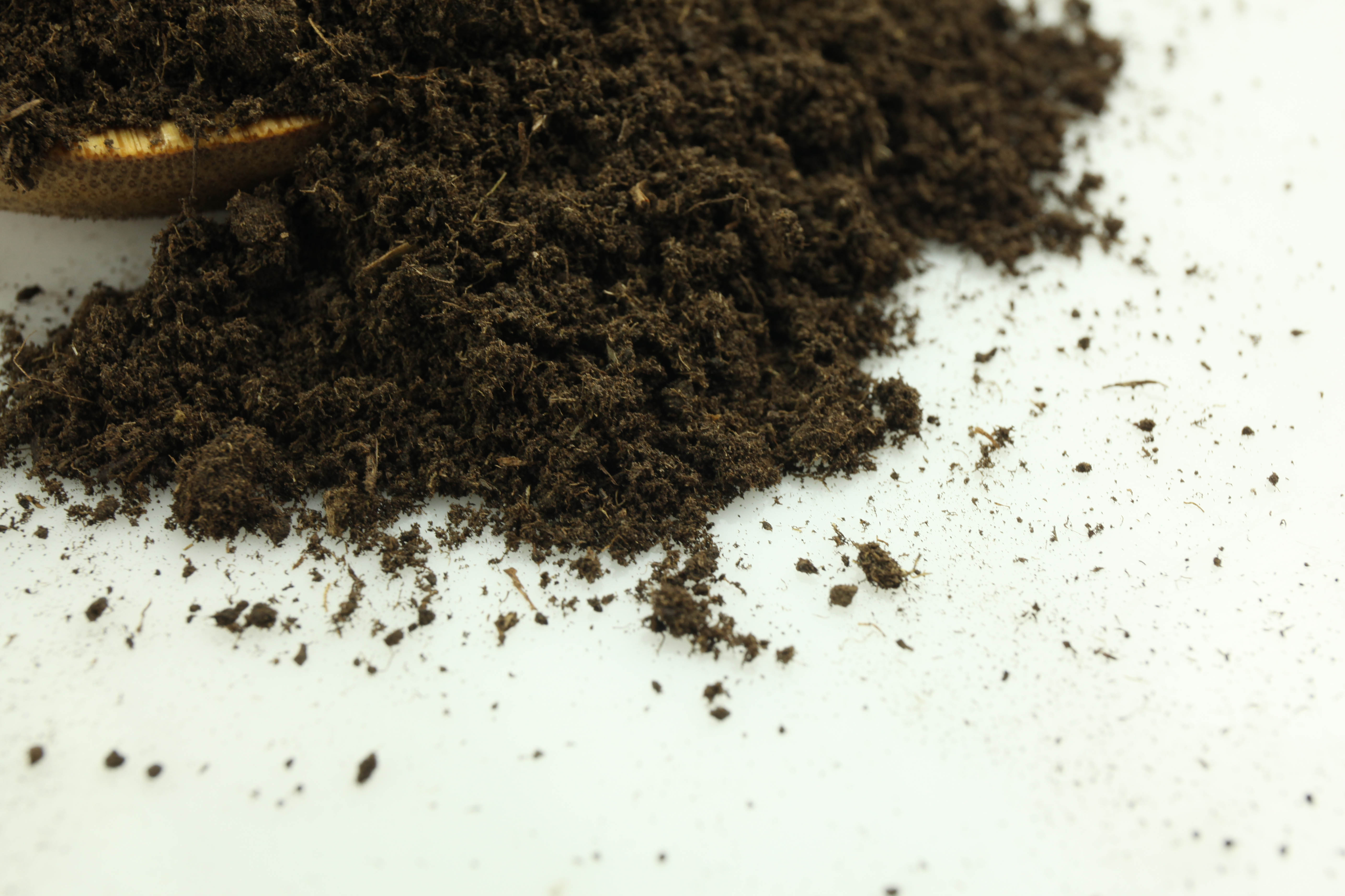 大兴“土”木，种花到底怎么用—泥炭土批发？