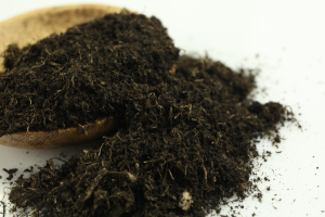 “草炭土”不用花钱的有机肥原料，却被我们给忽略了