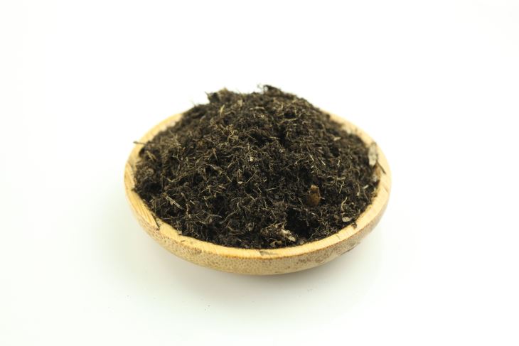 草炭土是什么,详细介绍草炭土的种类以及作用